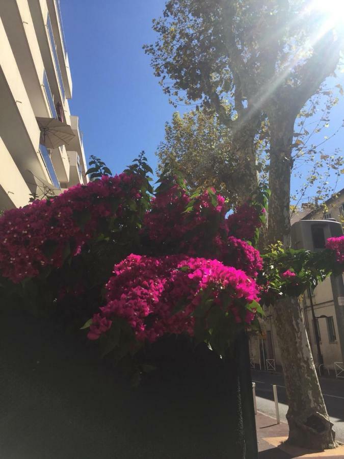 شقة Jardins Du Pont Du Lys جوان ليه باه المظهر الخارجي الصورة